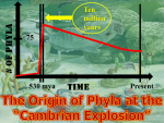 The-Cambrian-Explosion-Graphed.png