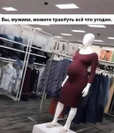 1733988148205.png