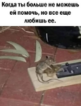 1747320004743.png