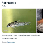1749063762230.png