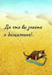 1750586826679.png