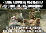 1750591713807.png