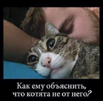 1750618649089.png