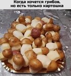 картошка.jpg