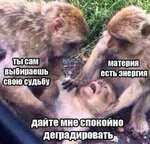 JHyP.jpg