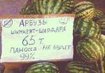 арбузы.jpg