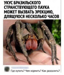 1784553662441.png
