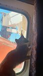 20260426_095944.jpg