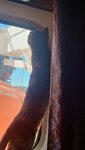 20260426_095938.jpg