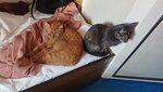 20260426_095826.jpg