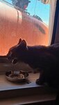 20260426_131420.jpg
