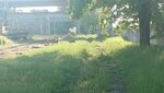 20260526_073549.jpg