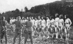 ww2fphot_011.jpg
