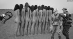 ww2fphot_314.jpg