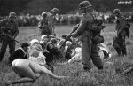 ww2fpot_004.jpg
