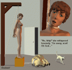 nokitty.gif