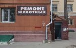 ремонт животных.jpg